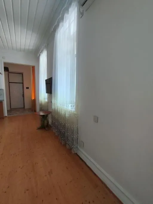 Center Ville Baku Apartment